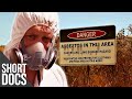 Lost Places: Wittenoom - Australia's Abandoned Toxic Town | Free Documentary Shorts