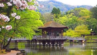 PART 2!! Apa aja sih yang harus di siapkan ketika pergi ke jepang?! YUK KITA BAHAS BARENG!