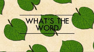 Whats The Word Endemic