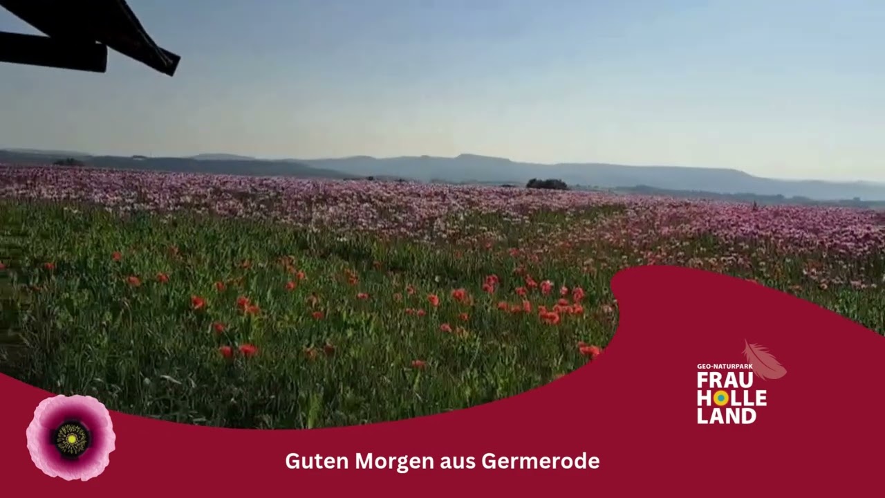 Guten Morgen aus Germerode