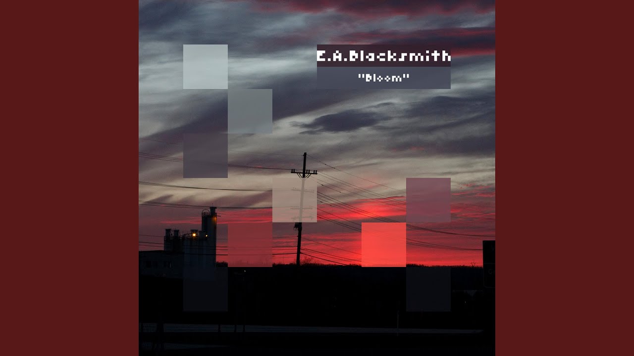 Guarda Bloom su YouTube Guarda Bloom su YouTube