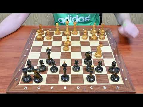 Шахматы Сицилианский гамбит