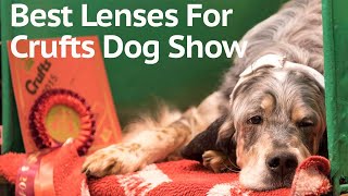 Best Photography Lenses for Crufts Dog show by Rebecca Goutorbe 317 views 1 year ago 12 minutes, 29 seconds