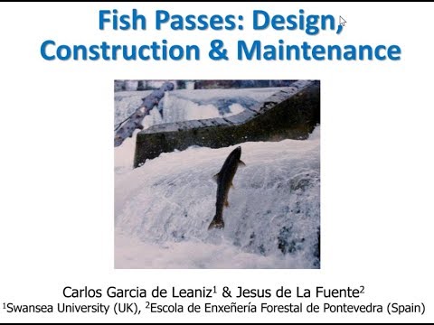 Fish Pass Design: Key Criteria for River Restoration Webinar