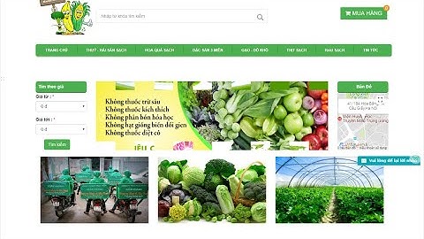 Source code shop bán hàng thực phẩm sạch php codeigniter hoàn chỉnh