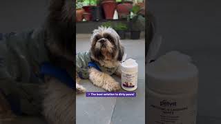 Sanitizing & Grooming Wipes For Dog and Cat Enriched with Vitamin B5 and Aloe Vera - 50 Wipes screenshot 5