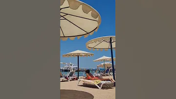 اول آليوم Bikini مصر ام الدنيا كلها بموت فيها 