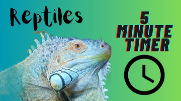 Reptiles | 5 Minute Timer | Calming