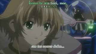 Tsubasa Chronicle 24