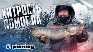 🔴 Эта хитрость помогла поймать щуку! Рыбалка на спиннинг поздней осенью!!! 👍👍👍