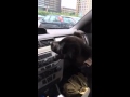 Puppy's first experience with air conditioning