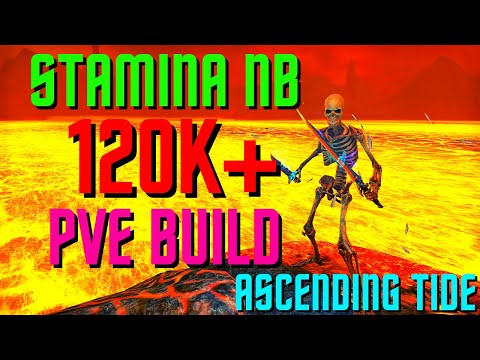 Stamina Nb Pve Build 2022 Solo