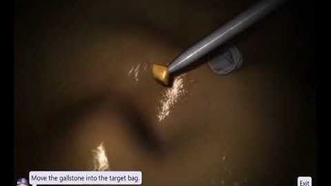 LapSim Basic Skills: Coordination