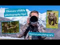 Photography tips you wouldn&#39;t expect. Improve your wildlife photography with these obscure tips