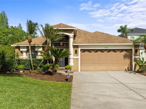 19335 SEACOVE DRIVE, Lutz, FL home video tour
