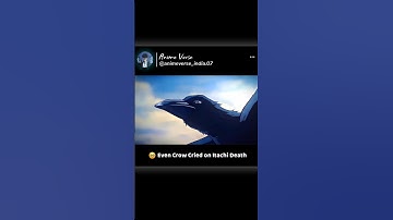 Crow Cried On Itachi Death 🥺 #anime #itachi #itachiuchiha #uchiha #animeedit #sad #shortsfeed