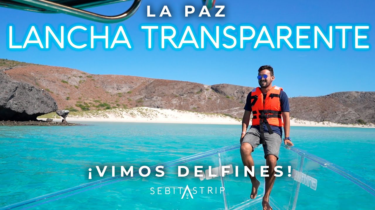 BALANDRA LANCHA TRANSPARENTE LA PAZ  | ¡VIMOS DELFINES!