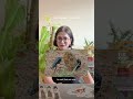  Winners Announcement!📢 ft. Shweta Taneja |Wild Poop Caption Contest | @RoundglassSustain #shorts