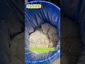 Trusted by World-Class Sausage Makers.WA: +8613581780337Email: kirnan.pl@gmail.com #food #sausage