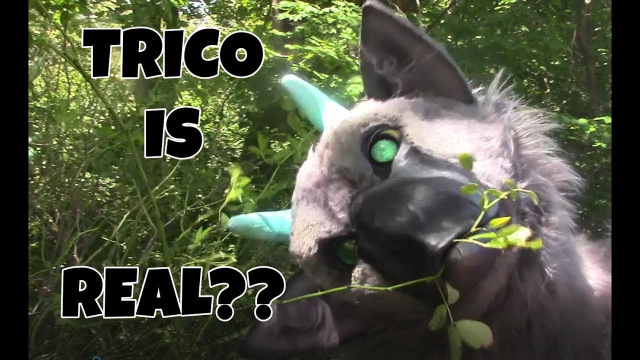 Trico Is an Ass by Aaron - 