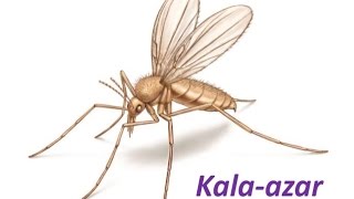 Kala-Azar - all about it in just 3 minutes