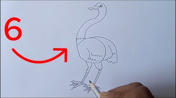 How to draw bird from 6 number ||  Drawing Bird With Number 6 |  Hasan Art Academy