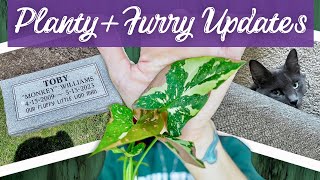From new plants to new furry friends: Life updates you won't want to miss!