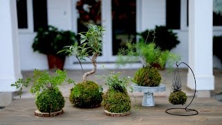 How to Make Kokedama (Full Version) // Garden Answer