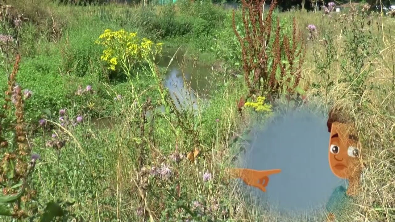 Im Neffeltal bei Nörvenich