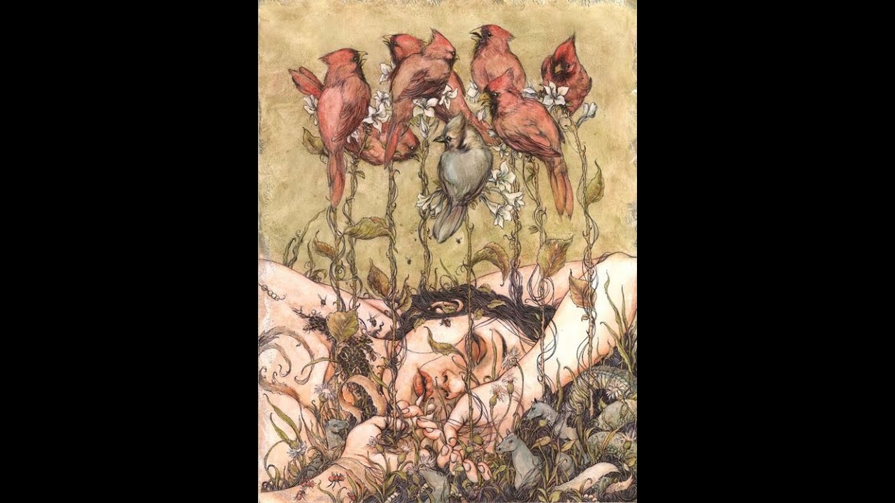 AURORA_ the seed slowed ( extended ver)