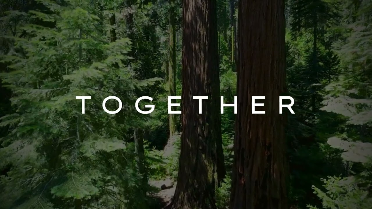 TOGETHER | MELODIC TECHNO -original mix