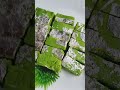Burfi#shortvideo #viralshort
