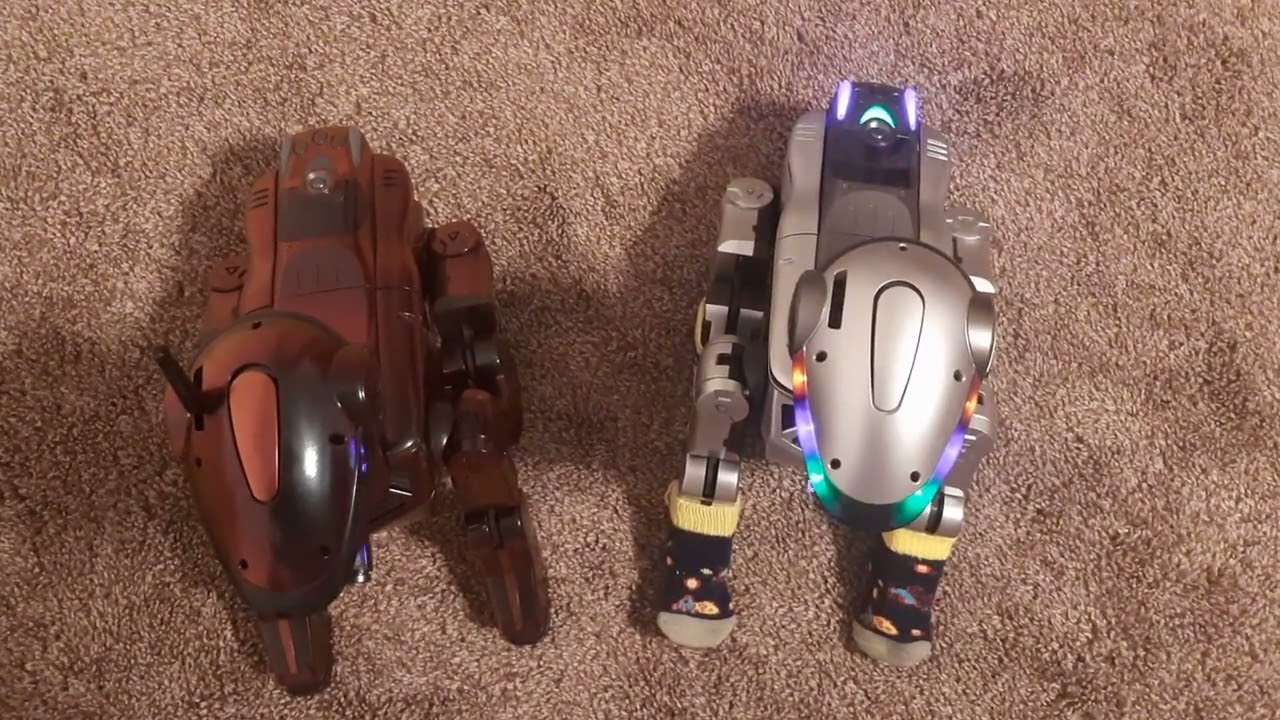Sony Aibo ERS 220 conversation: with custom LED modifications!