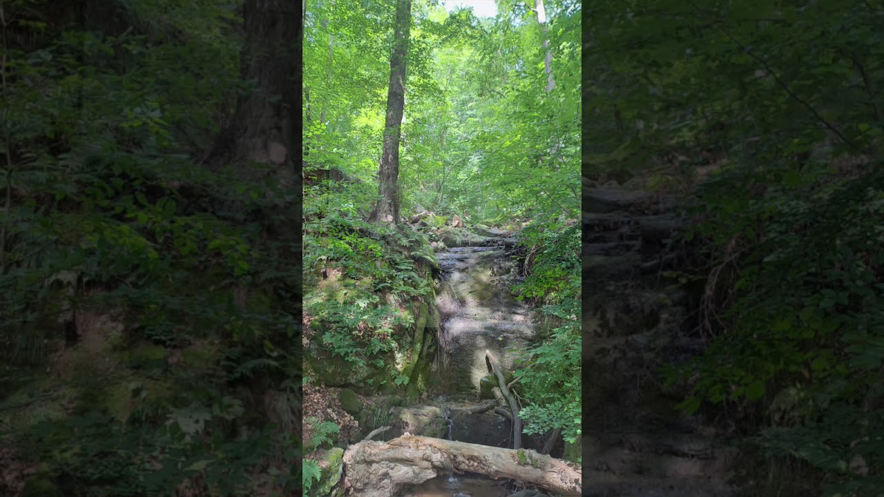 ultramarsch Dresden dieses Jahr war nach km 80 schluss als eine weise Entscheidung