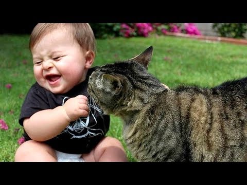 Best BABIES LAUGHING at ANIMALS! - CAUTION; Extremely funny compilation!