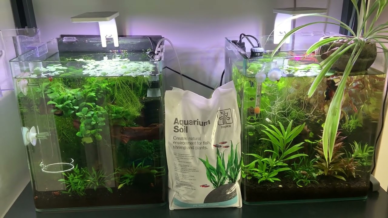 Substrat - Tropica Aquarium Plants