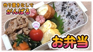 【作り置きなし】GWの話をしながら作る久しぶりの旦那弁当/30代主婦/年の差夫婦【お弁当】