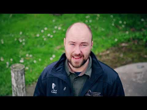 How to maintain your septic system