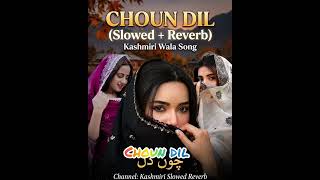 Choun Dil  Slowedreverb Kashmiri Song 