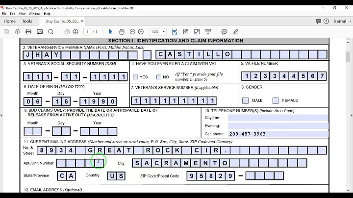 Auto PDF Form Filling Application in Excel VBA
