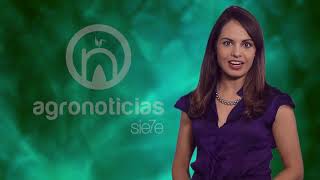 TITULARES AGRONOTICIAS sie7e PROGRAMA 60