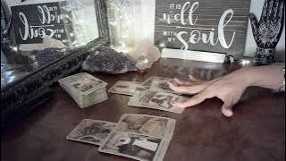 DF & DM Ending Toxic Cycles & Ignoring the Pregnancy Trap August 2021