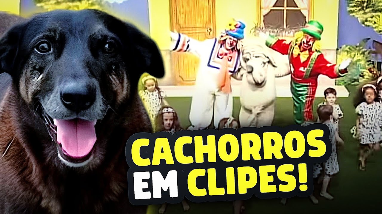 🐶 CACHORROS em Patati Patatá! - Homenagem ao Orelha. 🤍