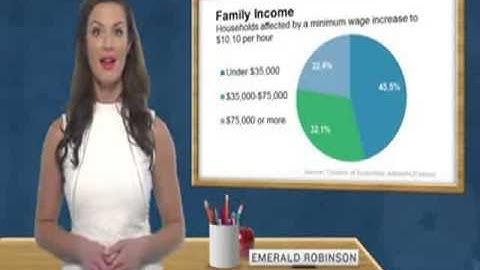 CHAPTER # 7   LEARN LIBERTY   DONT RAISE THE MINIMUM WAGE