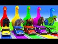 Long Slide Game With Cow Elephant Gorilla Hippopotamus Tiger 3d Animal Game Funny 3d Animals