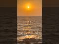 Now is all you get. Make it loud. #trending #viral #sunset #dogshorts #skywalk #fyp #love #fypシ