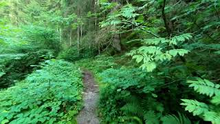 Meditation in Motion: A Mindful Hike with Nature Sounds [Part 18/25]