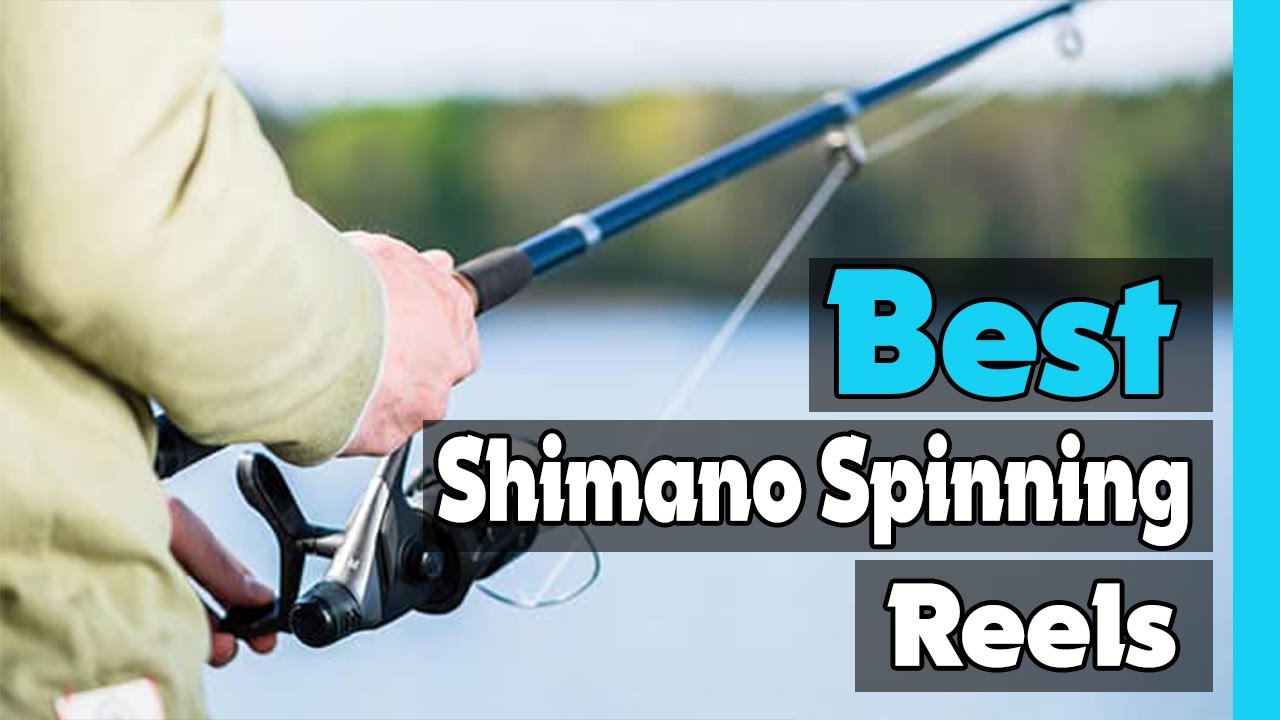 ✓Top 5: Best Shimano Spinning Reels In 2023 🎣 [ Best Shimano Reels Of All  Time ] 