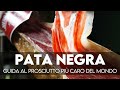 Pata Negra: guida al prosciutto più caro del mondo