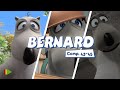 Бернард - 43-45 | Compilation  | Мультфильмы |